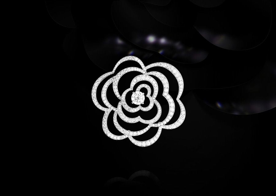 chanel山茶花logo图片